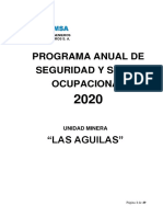 Programa Anual de Seguridad 2020