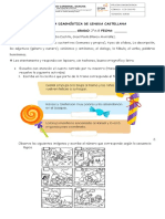 Prueba Diagnóstica Lengua C - Segundo 2019