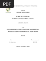 Cuadro Comparativo Entre Las Leyes de Organización Del Sistema Nervioso Central de Vygotsky, Las Unidades Funcionales de Luria y Las Funciones Ejecutivas