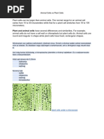 Animal Cells Vs Plant Cells