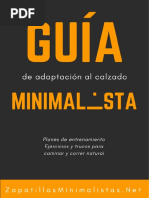 Guia Minimalista PDF