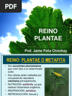 Reino Plantae y Animalía PDF