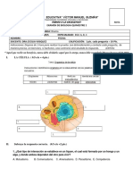 Examen 2 de Biologia Parcial 1 Primer Quimestre 2018-2019 Primeros1