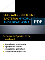 Mycoplasma and Ureaplasma