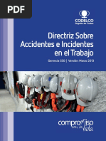 Directriz Sobre Accidentes de Incidentes en El Trabajo PDF