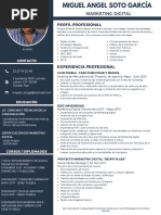 CV Miguel Angel Soto Garcia