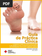 Consenso Sobre Ulceras Vasculares y Pie Diabetico AEEVH PDF