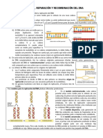 Capítulo 6 - Replicación, Reparación y Recombinación Del DNA