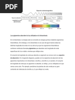 Los Pigmentos Absorben La Luz Utilizada en La Fotosíntesis