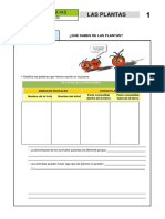 Actividad 1.plantas