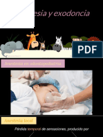 Pediatría - Control Del Dolor y Exodoncia.-Comprimido PDF