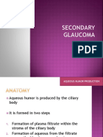 Secondary Glaucoma