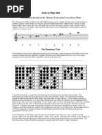 How To Play Dizi