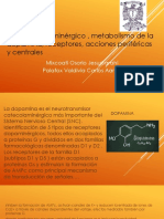 Sistema Dopaminergico, Metabolismo de La Dopamina, Receptores, Acciones Pefericas y Centrales 8 Octubre