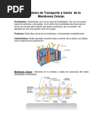 Resumen 3 Mecanismo de Transporte A Través de La Membrana Celular