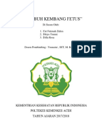 Makalah Tumbuh Kembang Fetus