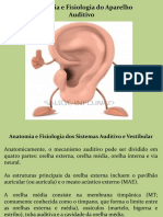 Aula Anatomia e Fisiologia Da Audição