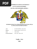 Informe de Praticas Pre Profesionales Paúl Panta PDF