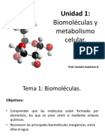 Biomoleculas Primero Medio 1