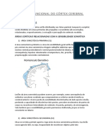 Anatomia Funcional Do Córtex Cerebral