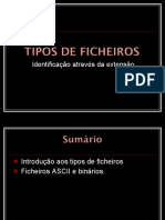 Tipos de Ficheiros