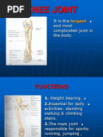 21-Knee Joint