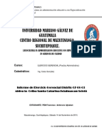 Informe de Ejercicio Gerencial Francisco Ambrocio