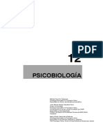 12tema PDF