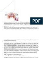 Anatomy and Physiology