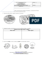 Actividades de Refuerzo Ciencias Naturales 4 Ip