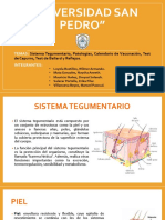 Sistema Tegumentario, Patologías, Calendario de Vacunación, Test de Capurro, Test de Ballard y Reflejos.