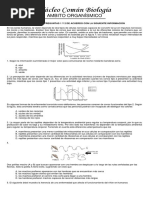 Ciencias Basicas Taller 2 PDF