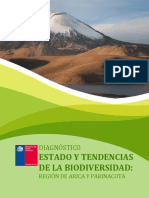 Diagnóstico 15 Arica y Parinacota - Corregido