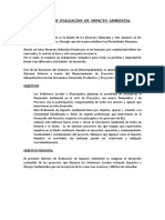 Informe Conclusiones Impacto Ambiental