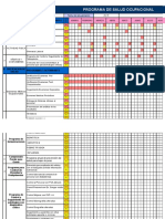 Modelo de Programa de SALUD OCUPACIONAL