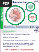 Human Reproduction