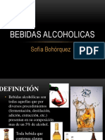 BEBIDAS ALCOHOLICAS Expo