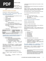 Chapter 33 - Organization of The Urinary System