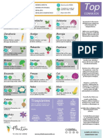 Calendarios Hemisferio Sur