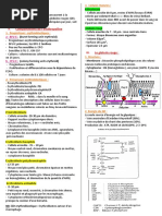 H 2 PDF