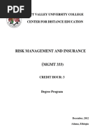 Risk Management PDF