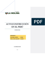 6 Autoconstrucción INF