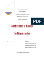 Ambientes y Facies Sedimentarias