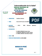 Informe Fases Auditoria Interna