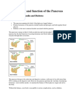 Overview and Function of Panecrease