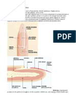 Medicina Curs Numarul13