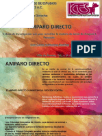 Amparo Directo