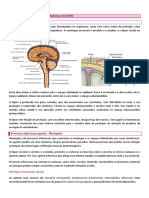 Infecções Do SNC PDF