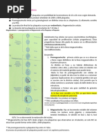 Megacariopoyesis y Hemostasia