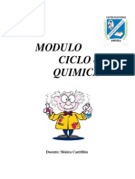 Modulo Ciclo 6 Quimica